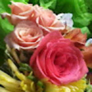 Meet your Posher, Mojo